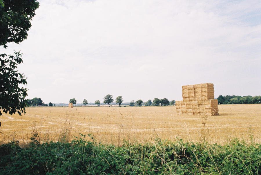 A field of golden hay stubble. The margins of the field are green with trees in the background and foreground, framing the field. In the field is a stack of hay bales. The sky is hazy and faintly blue.