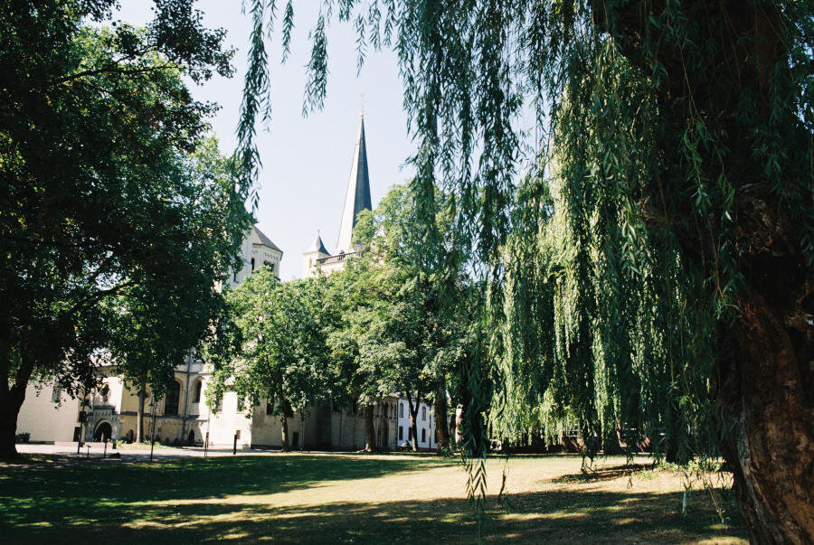 Looking back at the abbey from the willow tree