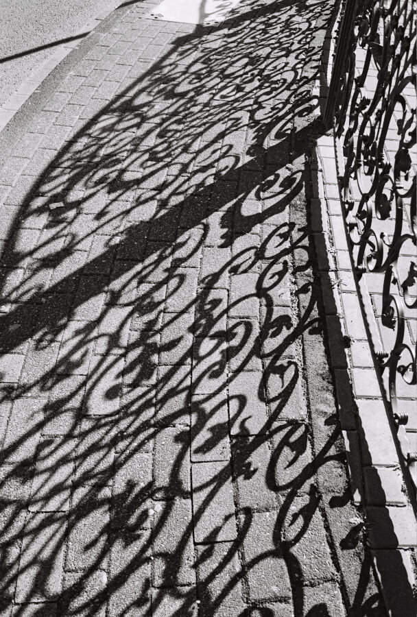 Shadows of an ornate iron fence cast on a brick sidewalk.