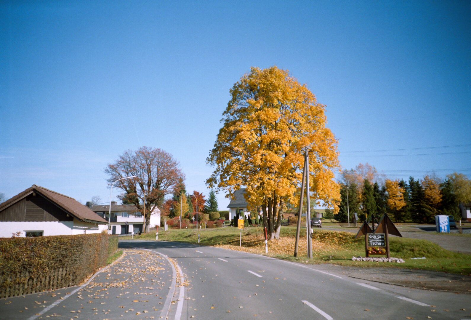 Road with a yellow-leaved tree and houses in the background under a blue sky in autumn. *** Straße mit gelb belaubtem Baum und Häusern im Hintergrund unter blauem Himmel im Herbst.