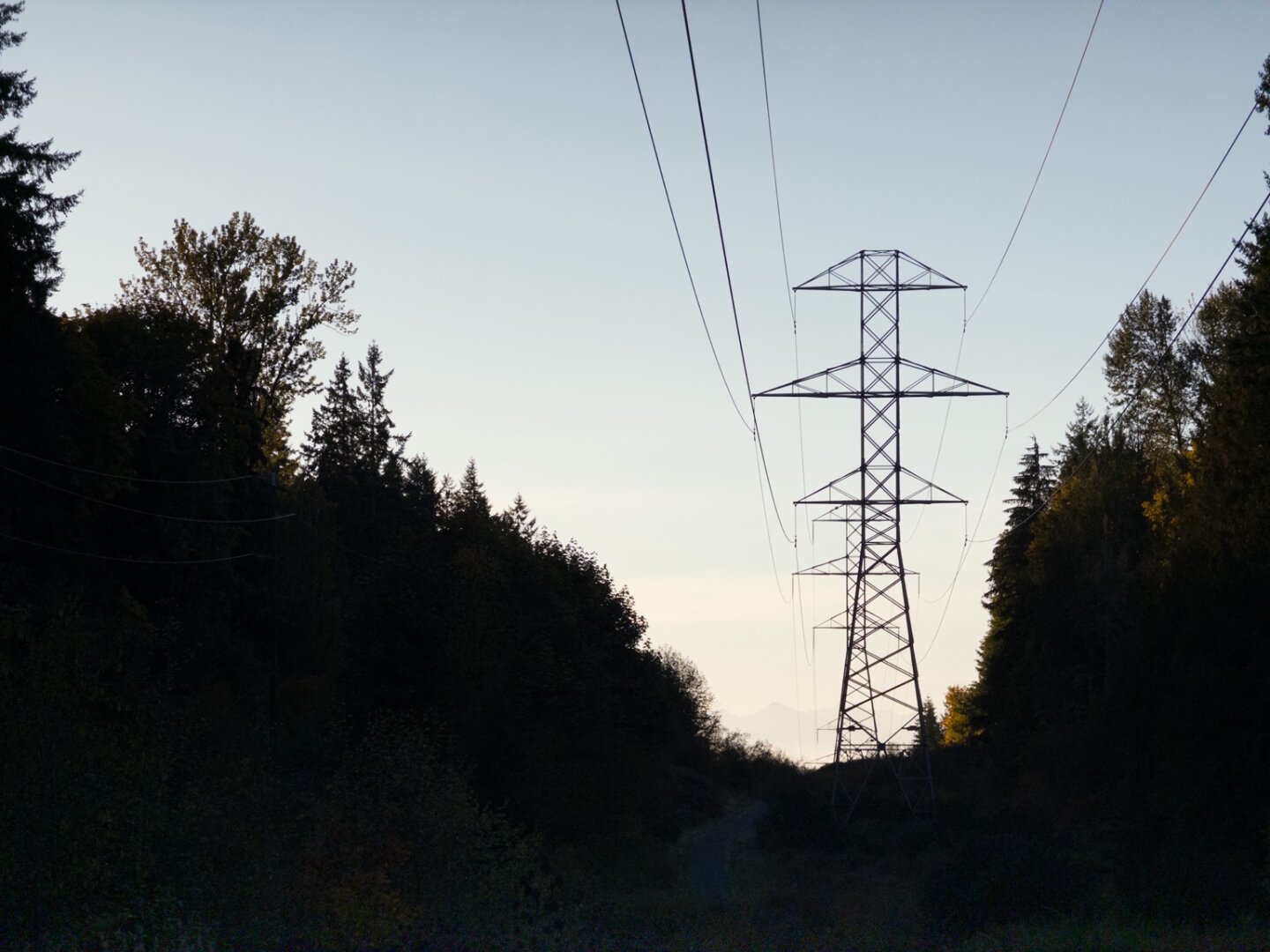 High voltage power lines going into the distance. Hazy mountains visible far in the distance. Heavily showed foreground of trees and shrubs.