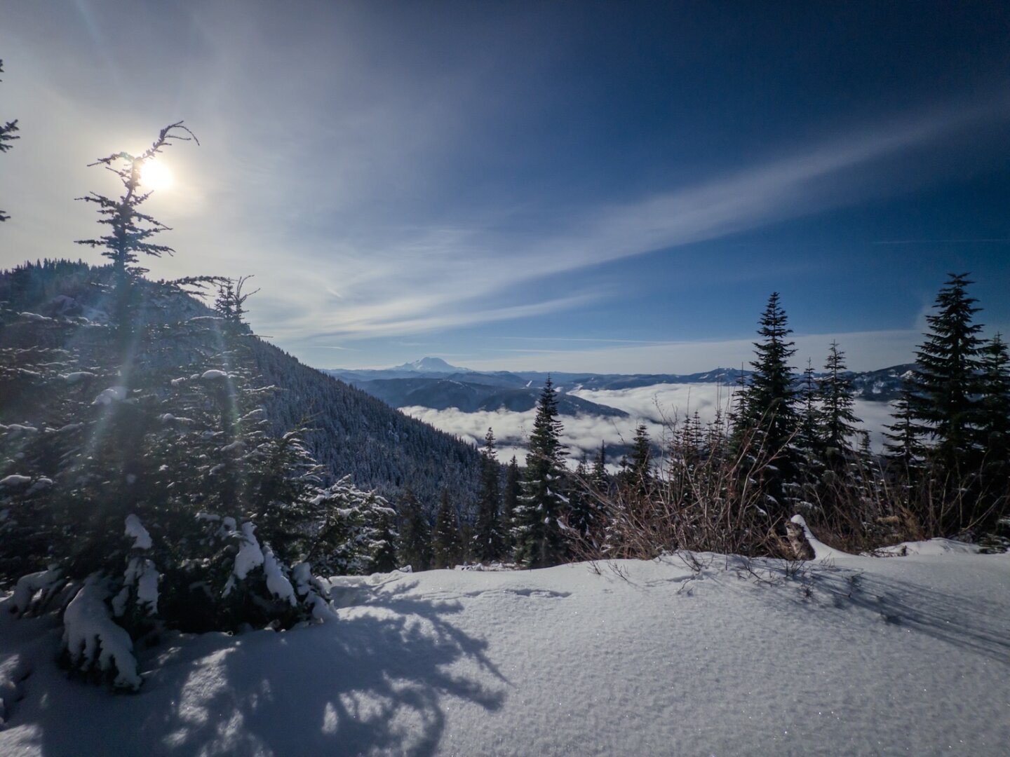 Snowy foreground, with snow covered trees. Sun in top-left corner, shining through hazy clouds. Mount Rainier in the distance beyond snow covered hills and low lying clouds in the valleys.