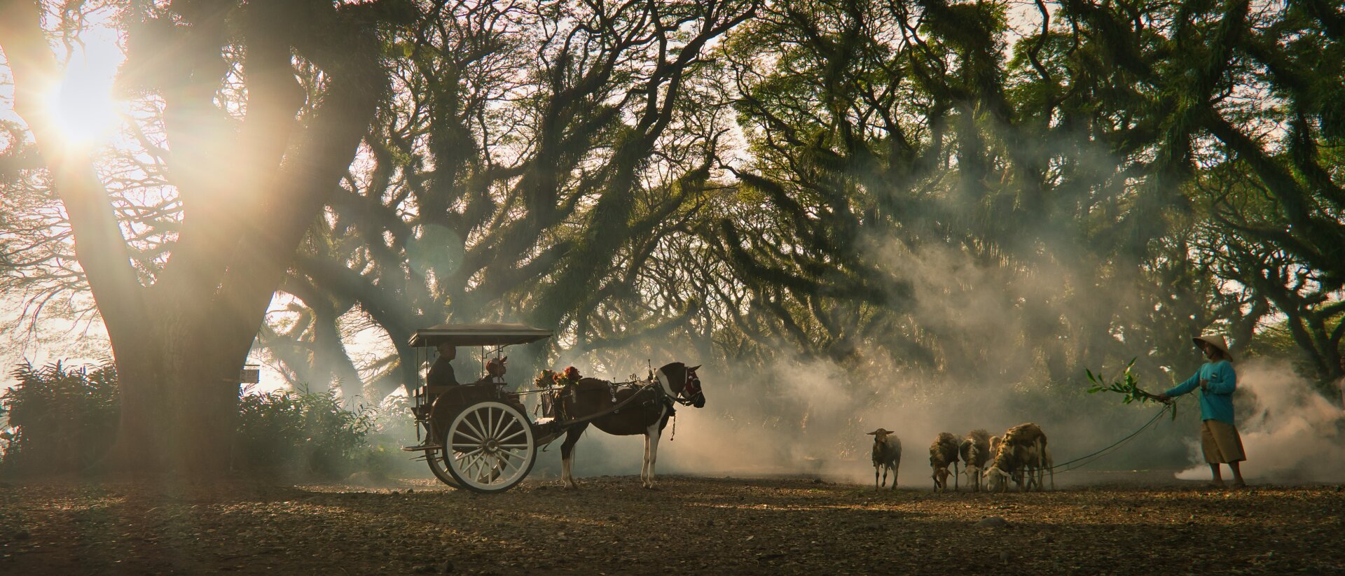 Dream-like panoramic scene of two boys on a horse drawn cart encountering a shepherd with sheep in a magical forest