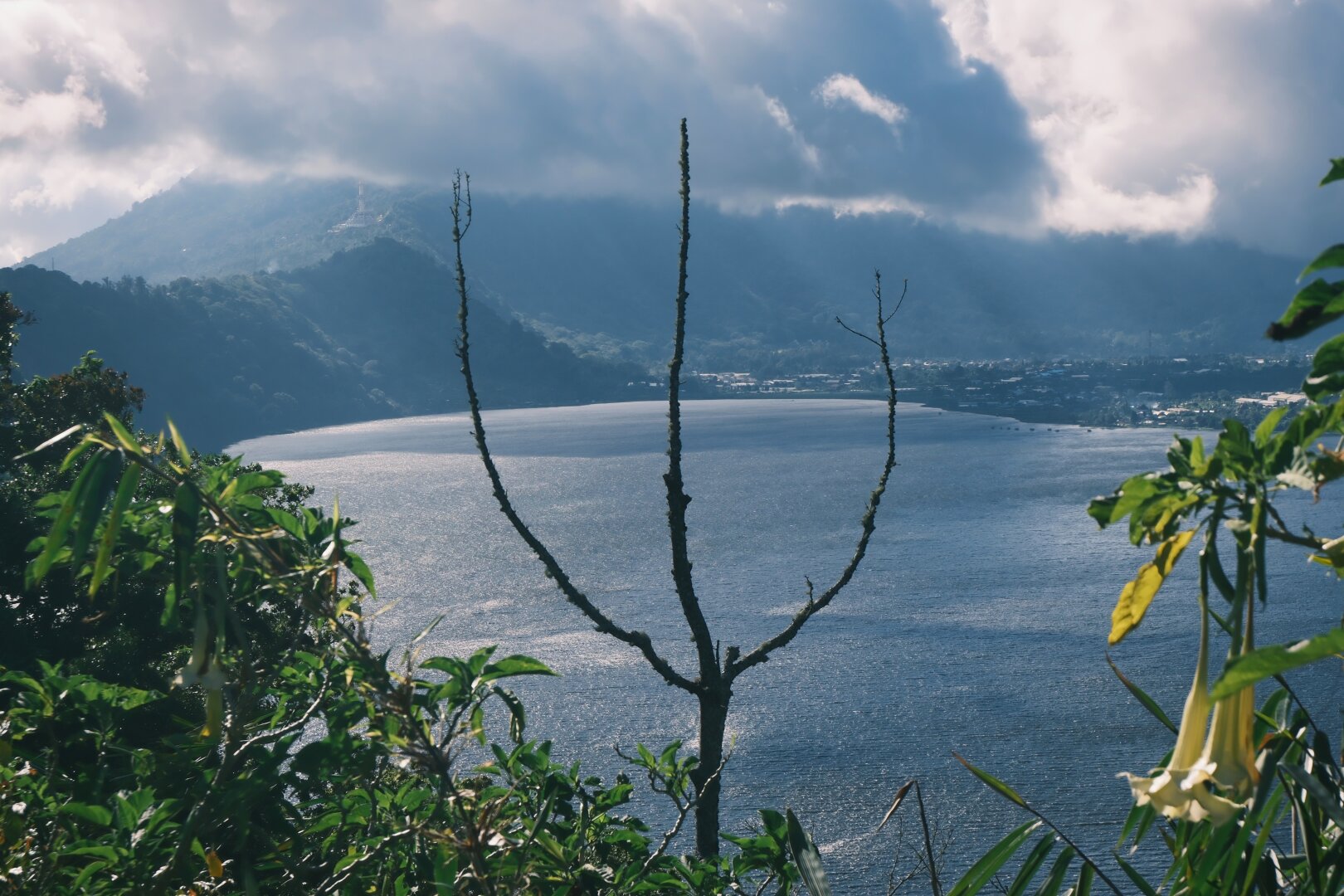 Tree with three two split branches, shaped like a trident with mini tridents on the side branches in front of a lake surrounded by a town, with thick clouds descending