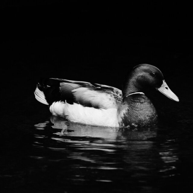Riva del Garda, Italy