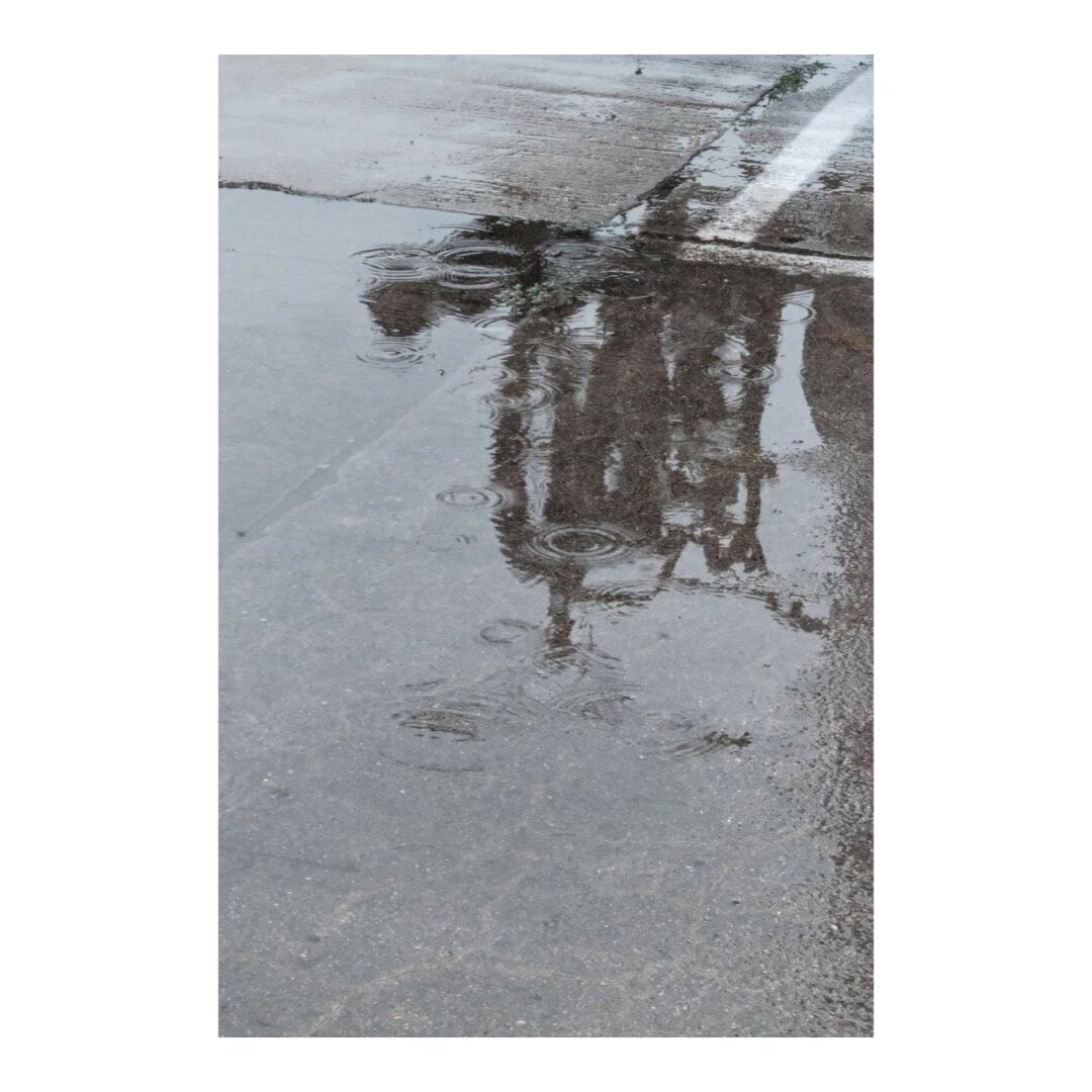 Puddle shows a mirrored image of bicycles.