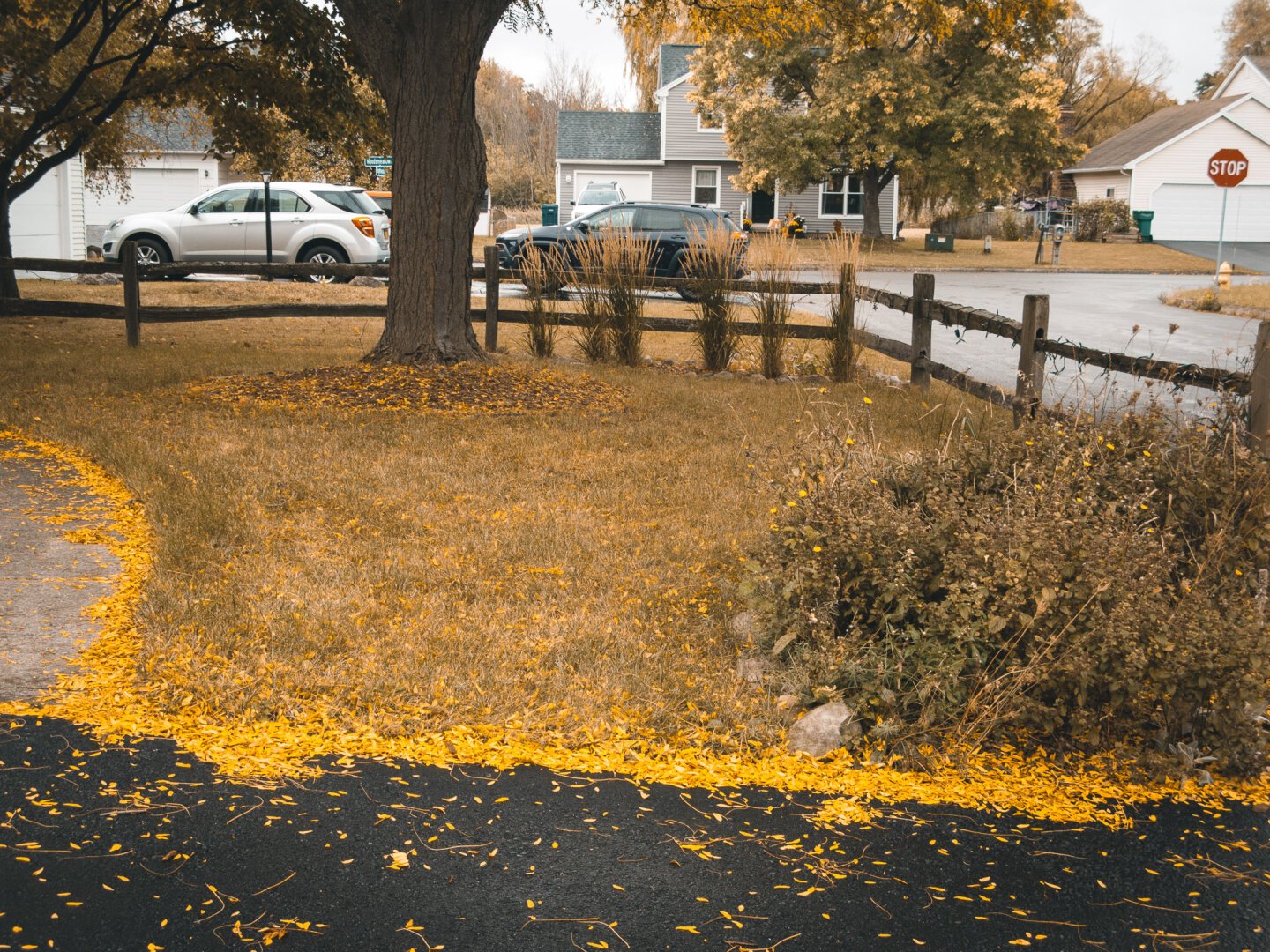 Every Fall - Rochester, NY #ROC #585 #rochesterny #rochesternewyork