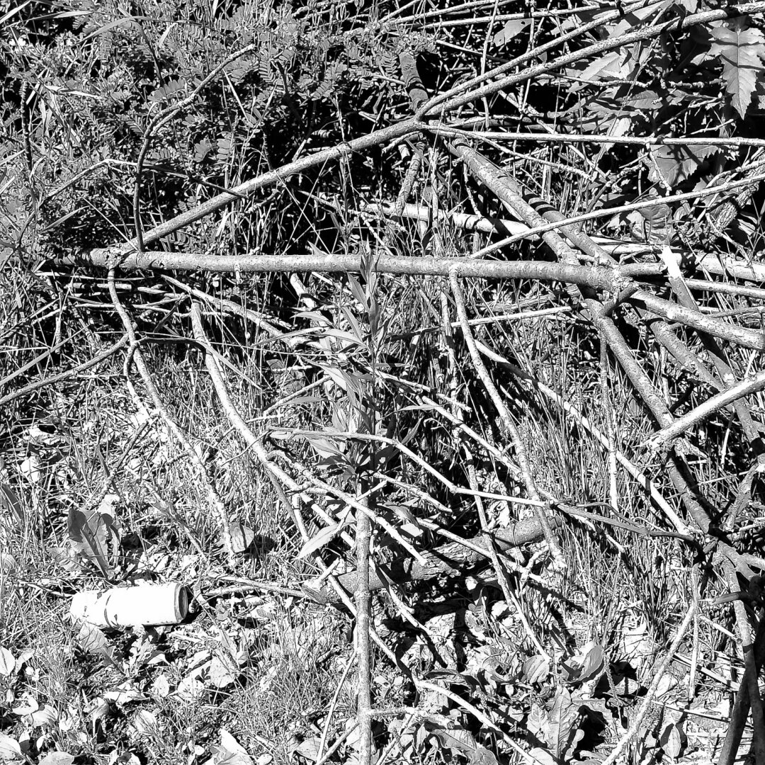 Sticks, No Stones - Rochester, NY #ROC #585 #rochesterny #rochesternewyork