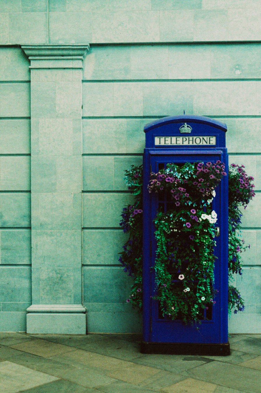 Analog color photo of an old former english phone booth in Bath, which now is used as a giant flower pot. The colors of the photo are unedited and look different from real life due to the turquoise film used.
