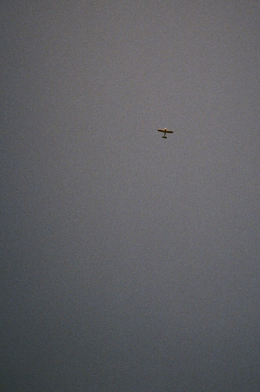 Analog color photo of a flying airplane. Not much more to say here.