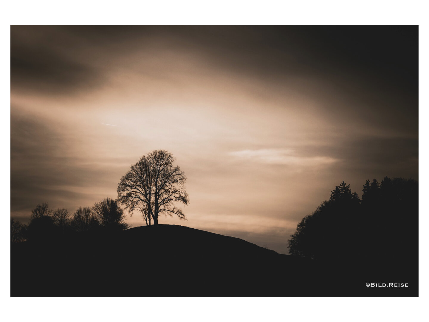 Das Hauptmotiv ist ein Baum auf einem Hügel. Der Baum wird links und rechts von weiteren Baum- und Strauchgruppen eingerahmt.