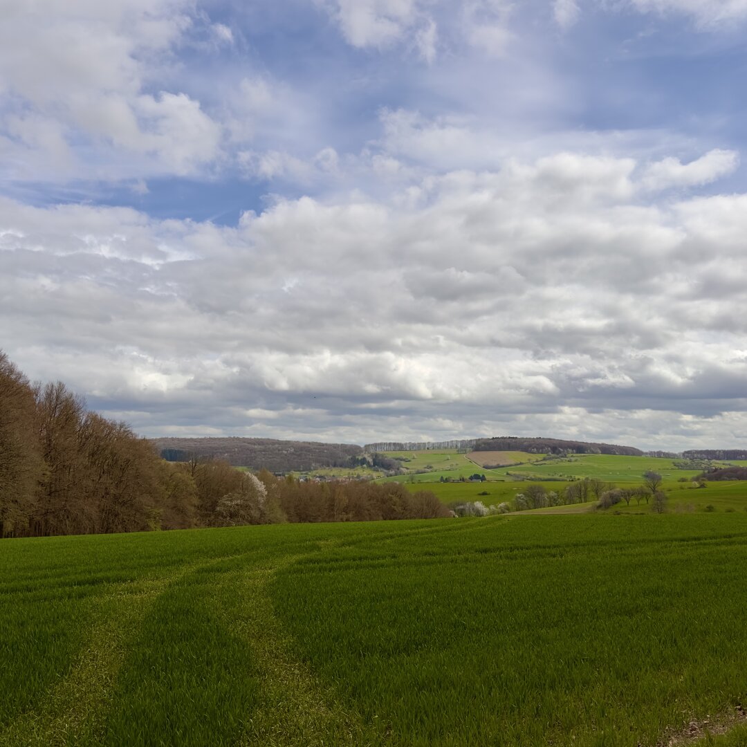 Clouds and Field #nature #farm #snapshot