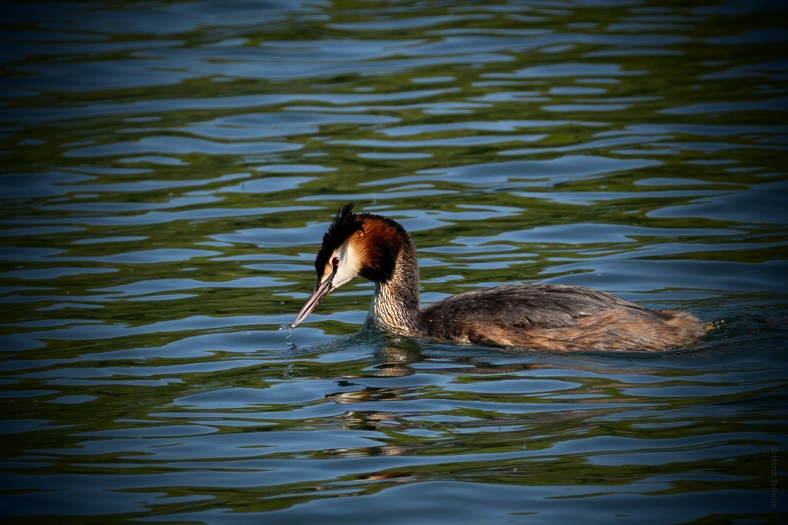 qdR5Hm3aG7ndj6ZGTzlLl3aCfDoMk41v8iDQy9Ef