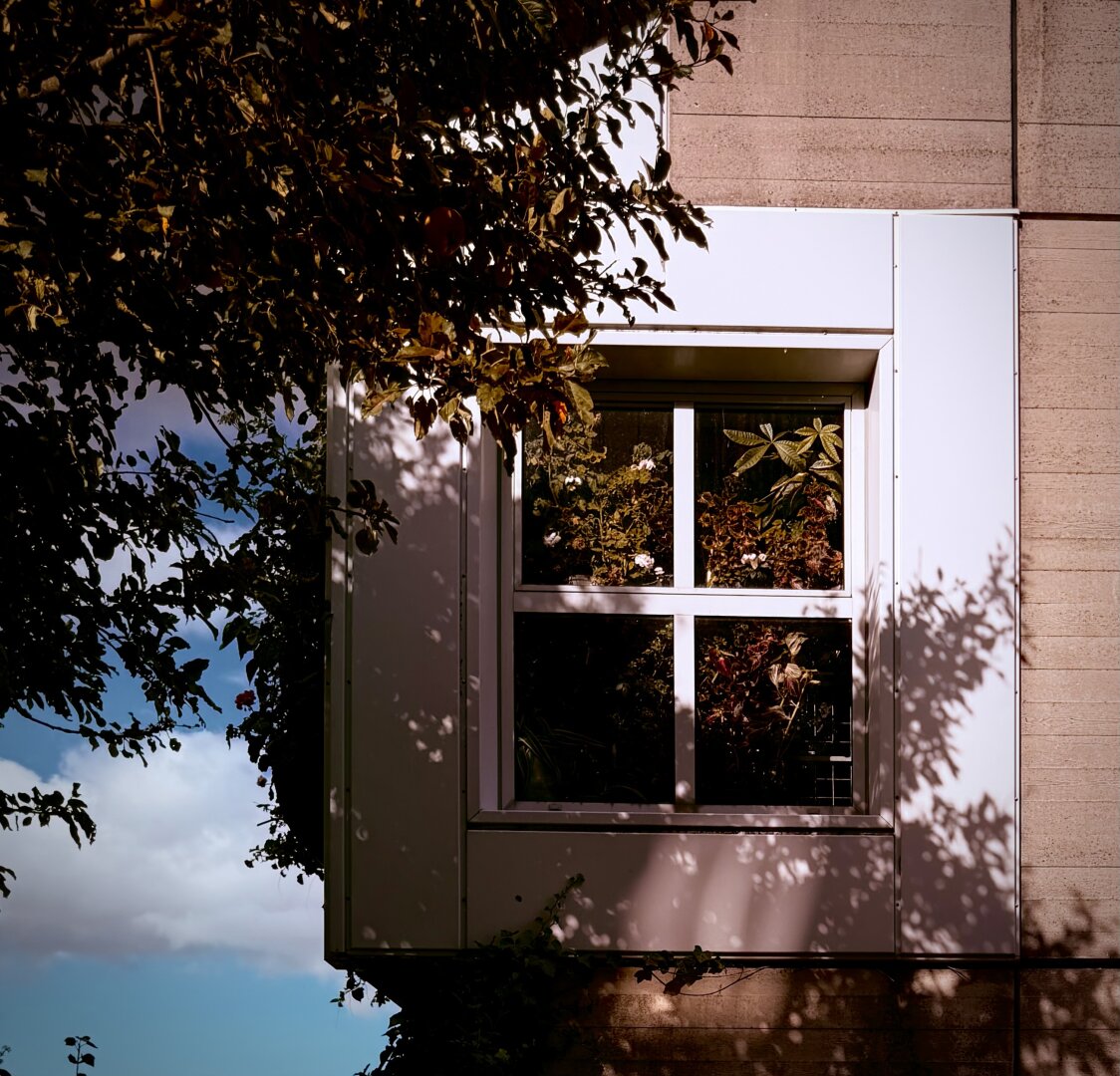 A close-up architectural shot of a modern building window framed by nature. Inside the window panes, a lush collection of indoor plants and flowers is visible, catching the light. Outside, a leafy tree branch casts intricate, dramatic shadows across the white and beige building facade under a blue sky with soft white clouds.