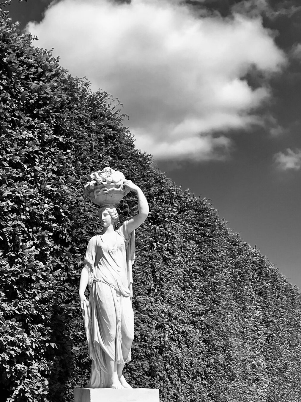 This black and white photo shows a white marble statue of a young woman carrying a basket of fruit and flowers over her head. She is standing in front of a strictly geometrically cut hedge. Above her, a large white cloud can be seen in the sky. It is daytime and the sun is shining brightly.