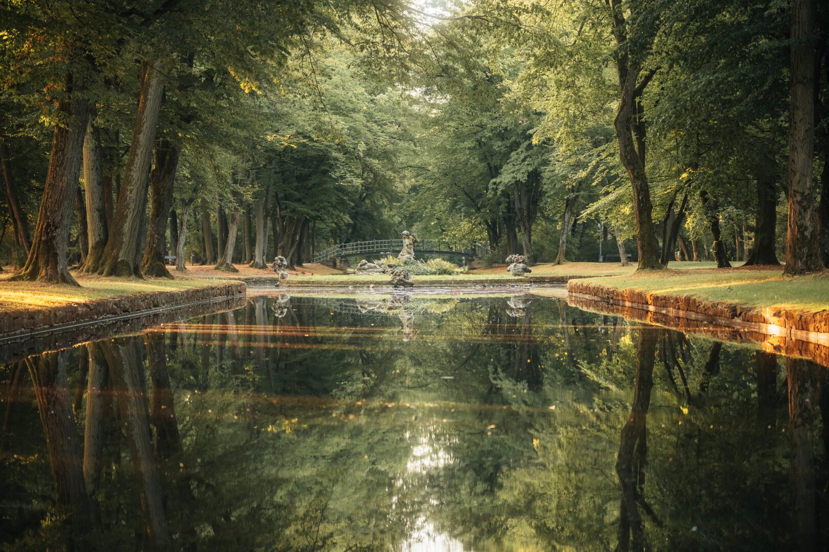 A calm, reflective pond flanked by tall trees mirrors the dense forest canopy and bright sunlight on the banks.