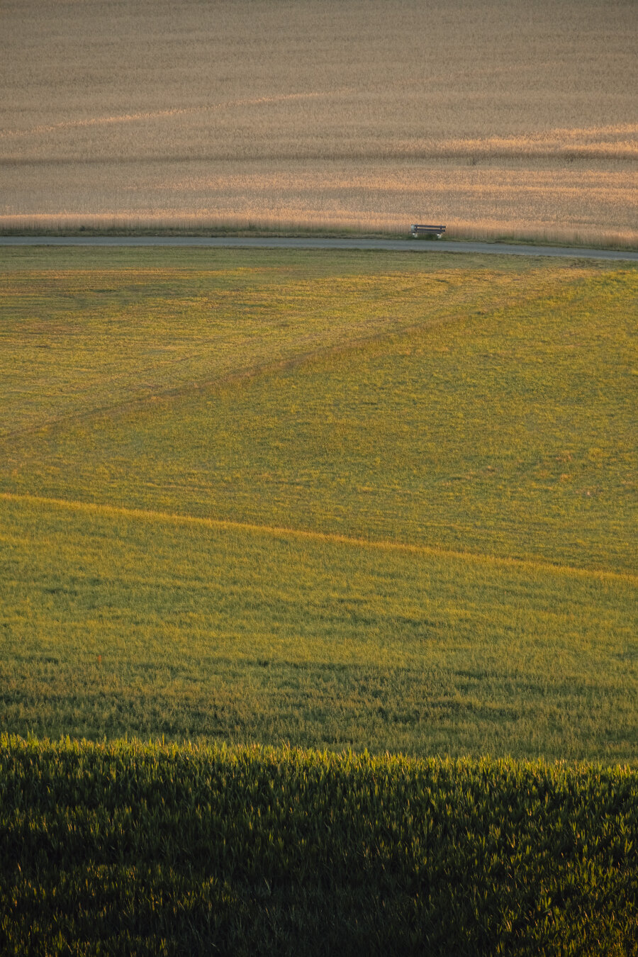 Layered fields of golden and green grasses extend to a pale horizon during sunset; a small bench is visible far away.