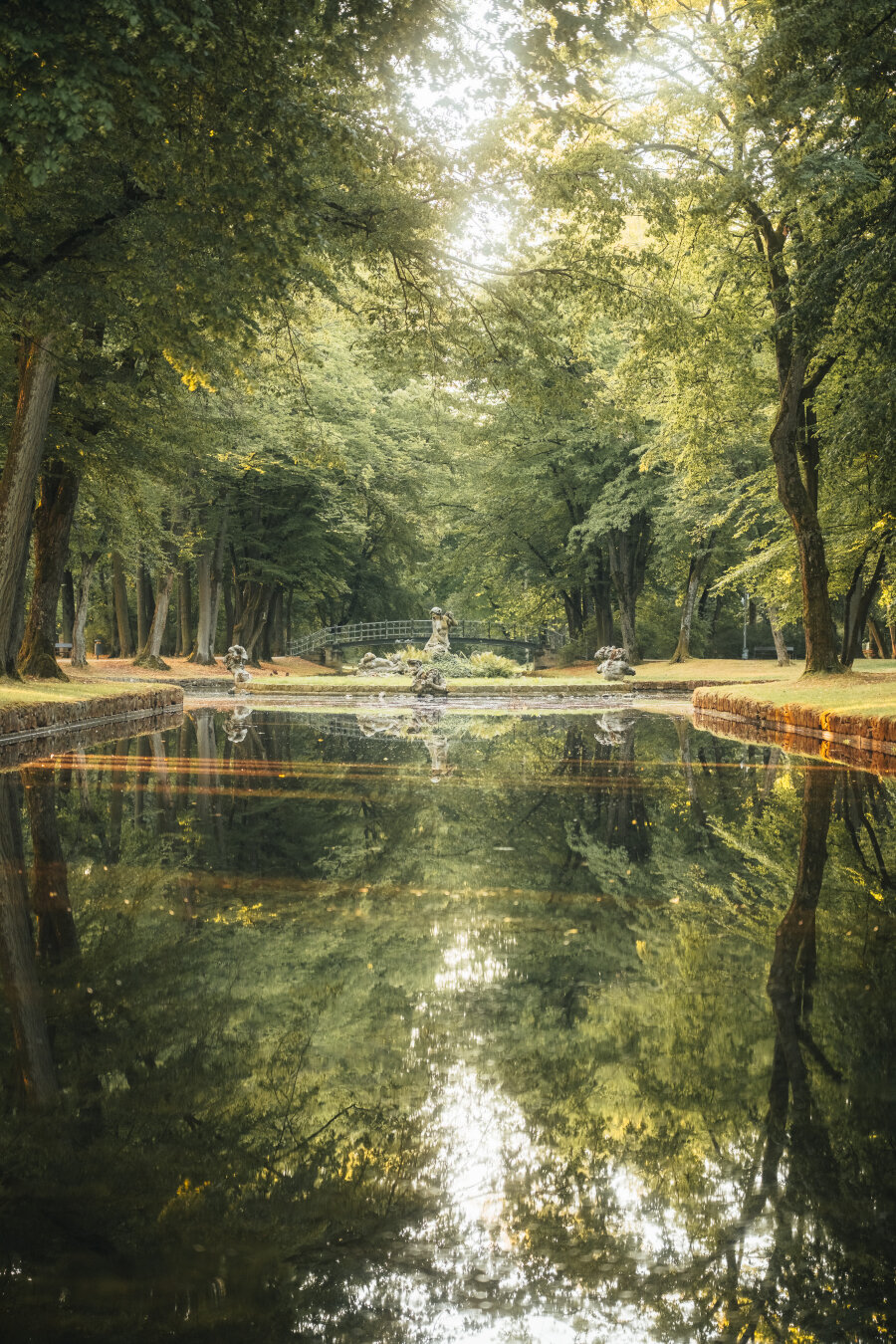 A calm, reflective pond flanked by tall trees mirrors the dense forest canopy and bright sunlight on the banks.