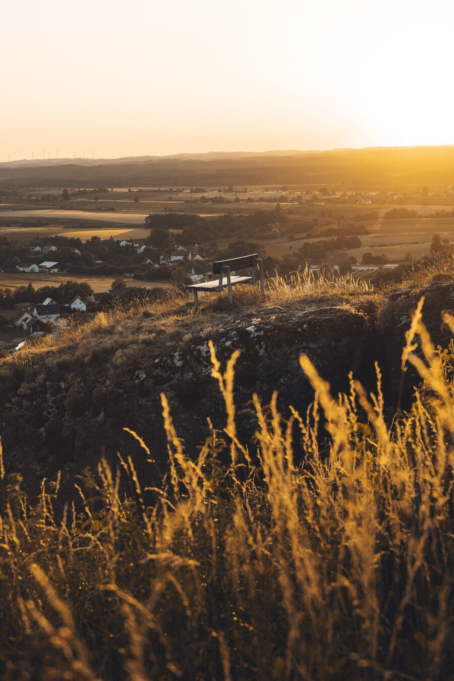Tall, sunlit golden grasses in the foreground frame a panoramic view of a valley town and distant fields during sunset.