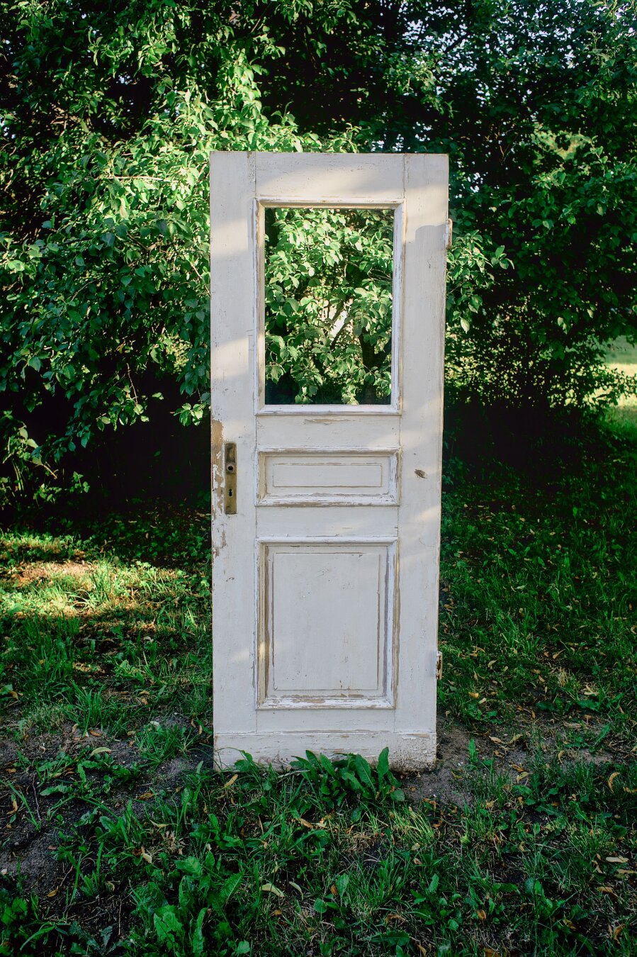 An old, weathered white wooden door standing upright outdoors in a lush green forest clearing. The upper panel features a glass window revealing the foliage behind it, and soft shadows of tree leaves are cast across its peeling white paint and brass handle.