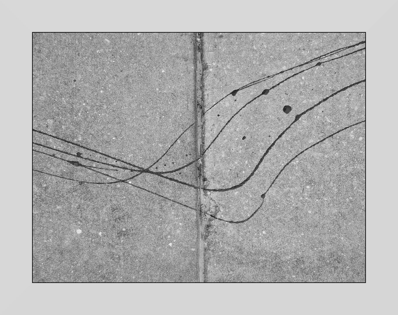 Some dark wavy lines made by spilling paint on a sidewalk, looking straight down at them. There is an expansion seam in the sidewalk the bisects the frame vertically, right in the center. The wavy lines follow similar paths from the one side to the other, while diverging from each other but echoing each other's form. It is a monochrome image, black and white.