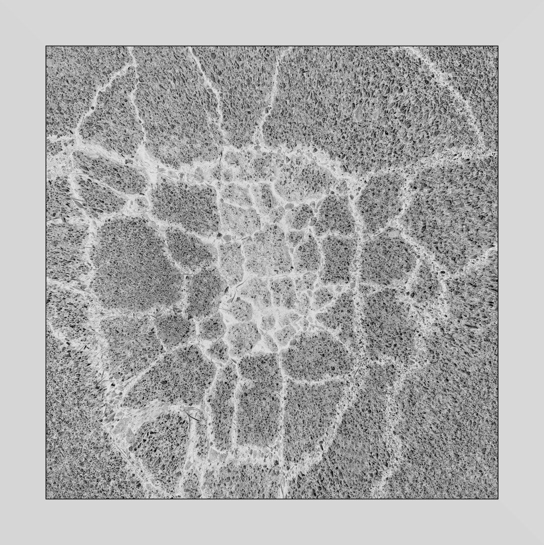 An area of asphalt with many cracks in black and white. The image has been inverted so that the cracks are white instead of black.