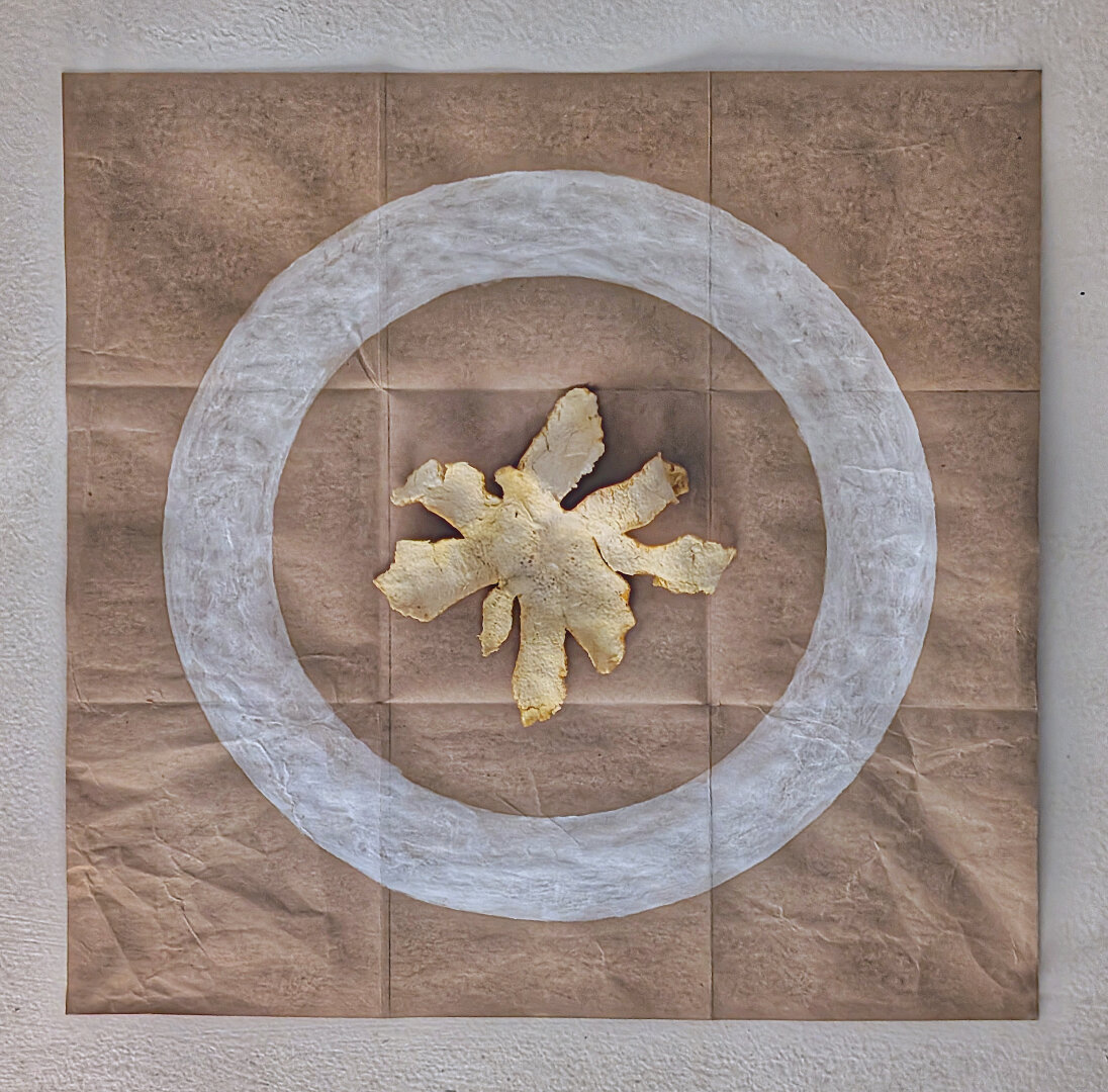 A dried mandarin orange peel complete in one piece is centered within a thick white ring painted on brown wrapping paper. The paper is 15 inches square and fold creases divide it into nine equal sub-squares. Temporary wall installation in the studio, orange peel and white acrylic paint. Pushpins holding everything in place have been digitally removed.