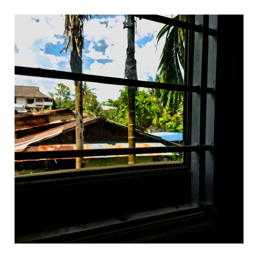 A barred window showing a tropical environment featuring roof of small houses and tropical trees.