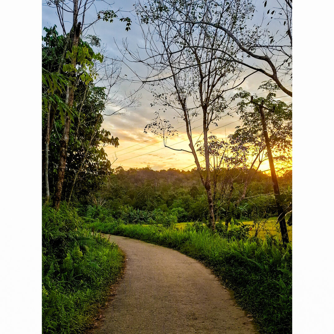 A small road on a countryside.