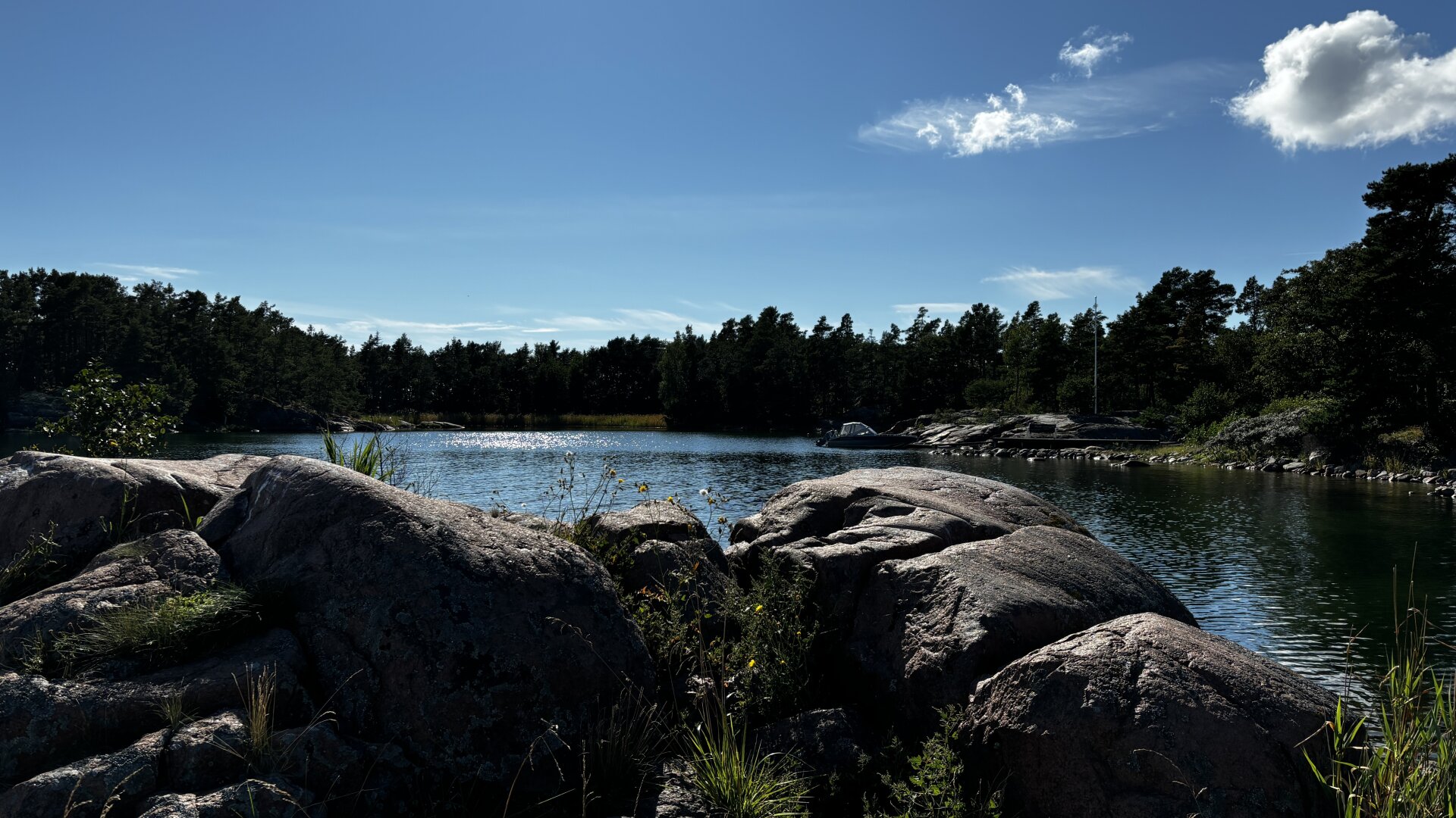 Photof from a little island of a calm, idyllic cove surrounded by forest.