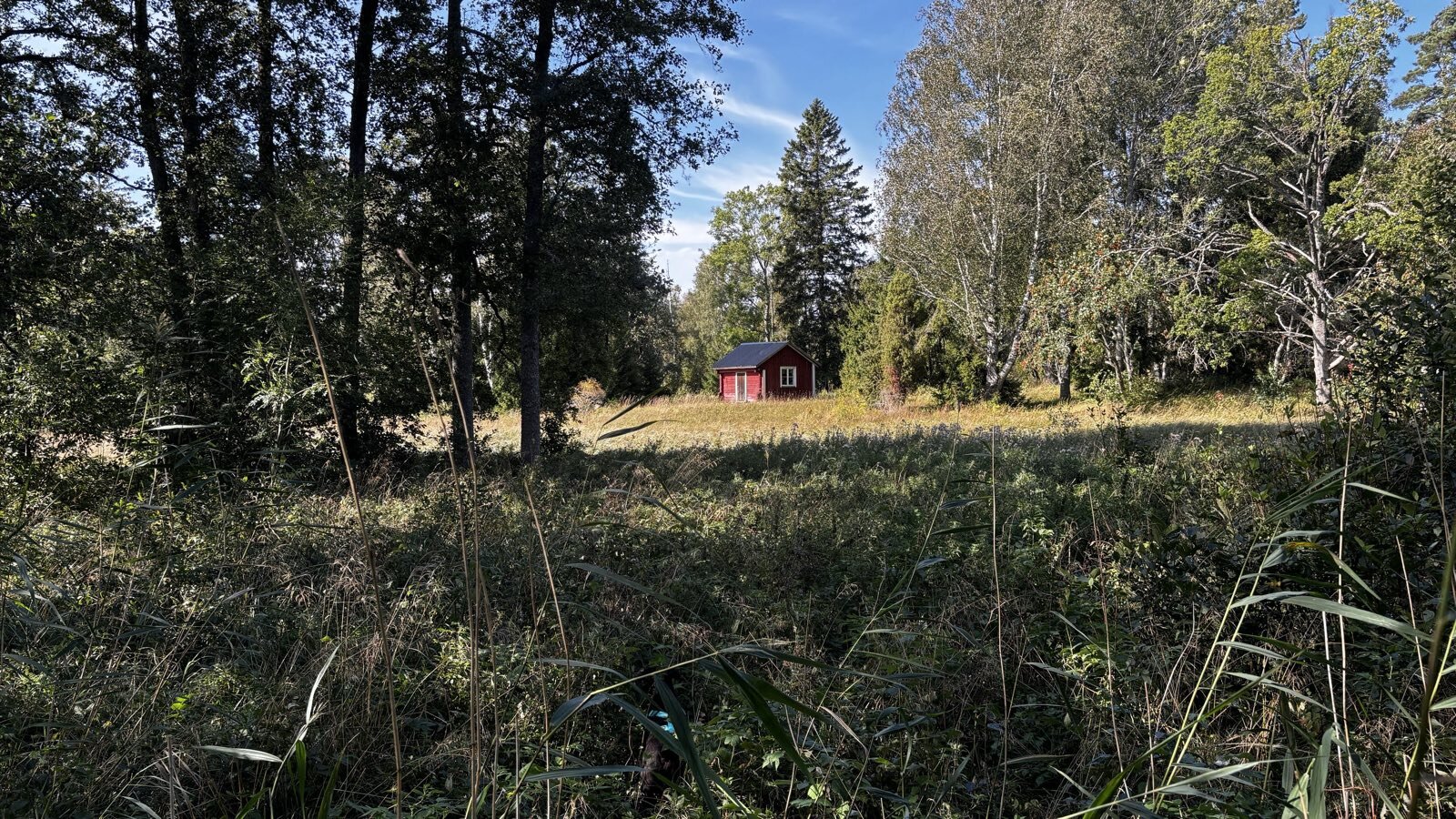 A tiny red cabin with a door and one window besides a field and forest.