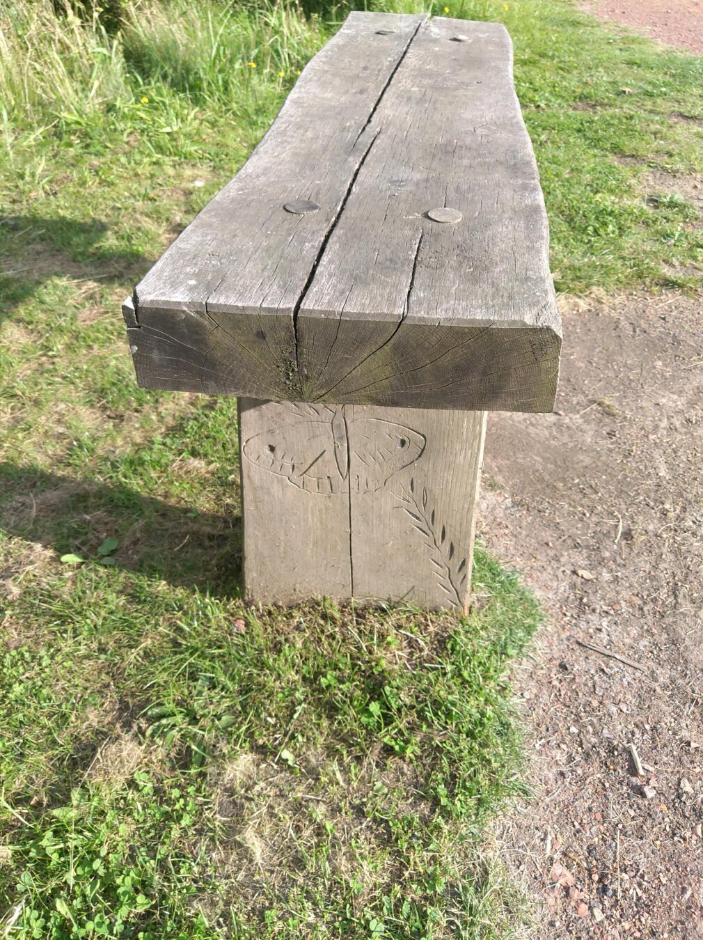 A weathered timber bench seen from the end, the plank's grain and radial cracks leading the eye towards the sunlit path beyond. Two round fixings sit near the top and a simple butterfly and leaf are carved into the supporting post — small, handmade details against the rough, sun-bleached wood on an ordinary stretch of grass.

#photography #bench #wood #weatheredwood #texture #closeup #carving #butterfly #outdoors #grass #path #walking #nature #naturephotography #detailphotography